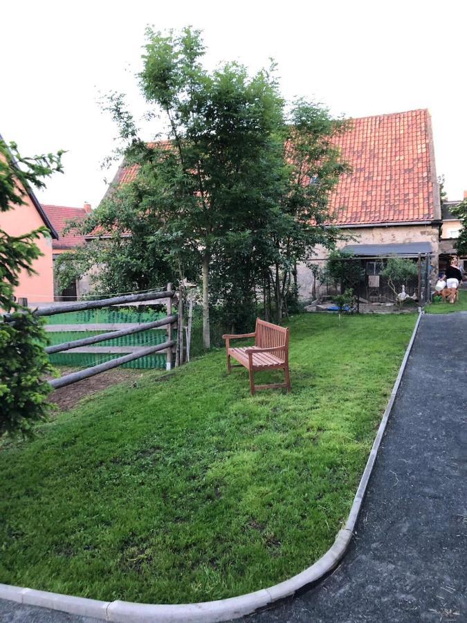 Ferienwohnung Gans Auguste Dohna Экстерьер фото