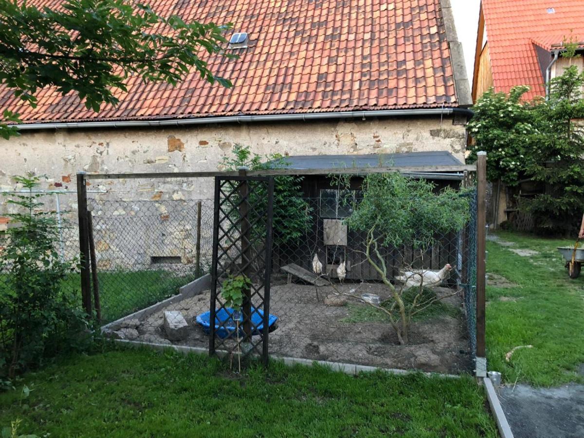 Ferienwohnung Gans Auguste Dohna Экстерьер фото